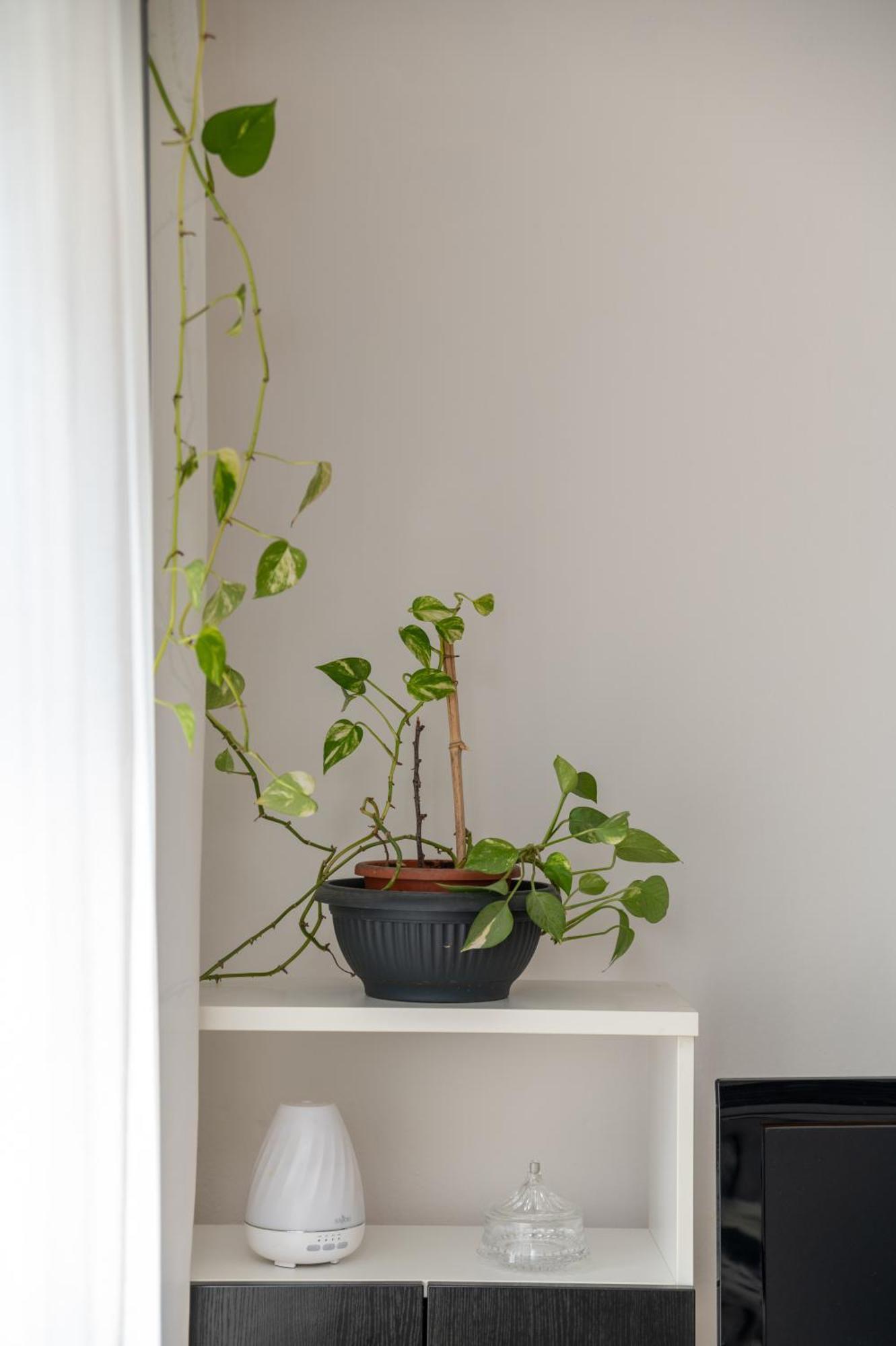 Apartman Milijana Fažana Εξωτερικό φωτογραφία